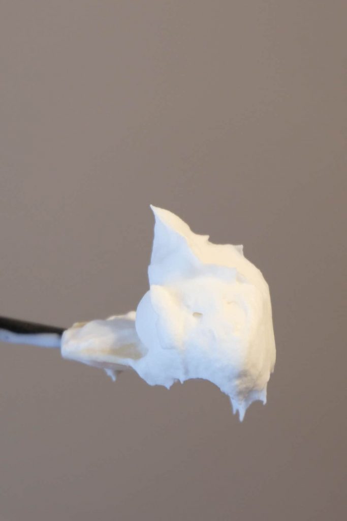 Vegan Cool Whip Vegan Whipped Cream Recipe