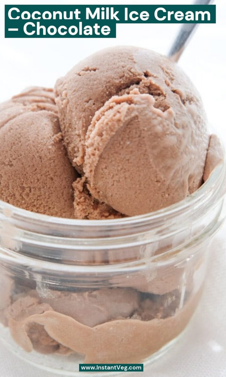 Creamy, Dreamy Chocolate Coconut Milk Ice Cream Recipe (Vegan)