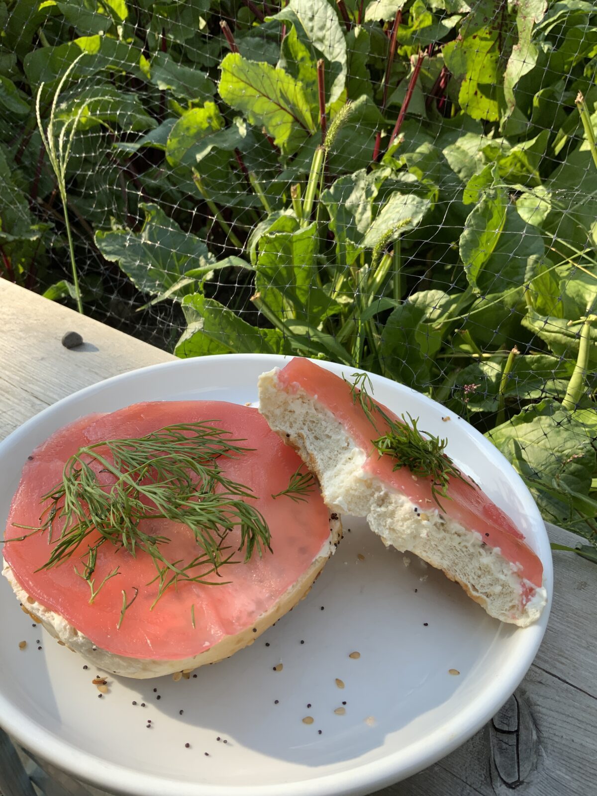Beet Salmon / Vegan Lox